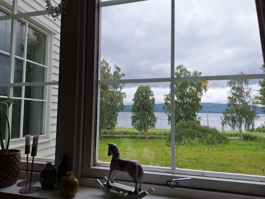 Privat Leilighet Pa Gard Med Badstue Og Nordlys Narvik Eksteriør bilde