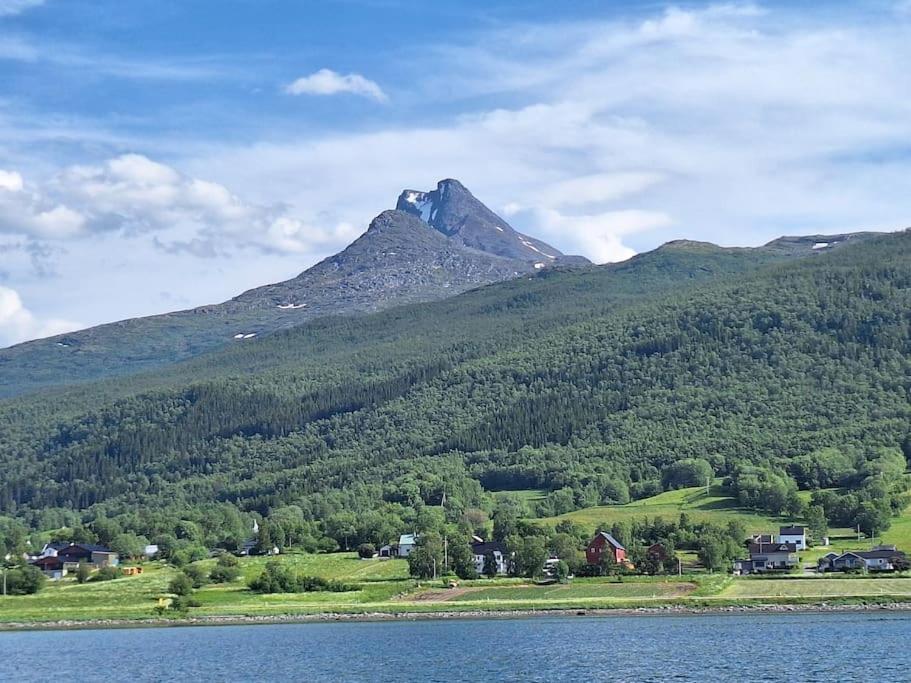 Privat Leilighet Pa Gard Med Badstue Og Nordlys Narvik Eksteriør bilde